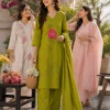 Lime Green Ready to Wear Mul Cotton Suit with Embroidery - Noor